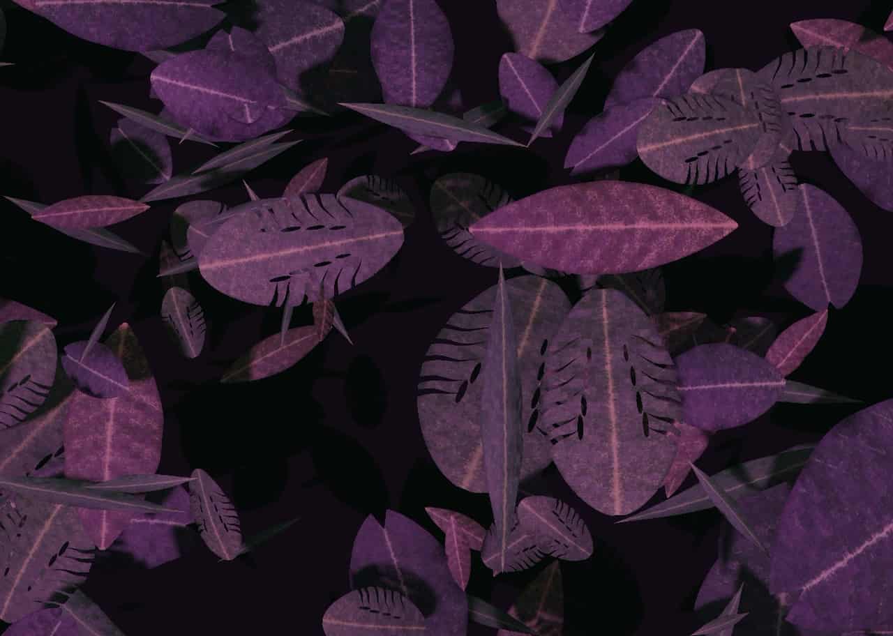 Jungle Canopy 007 visual preview