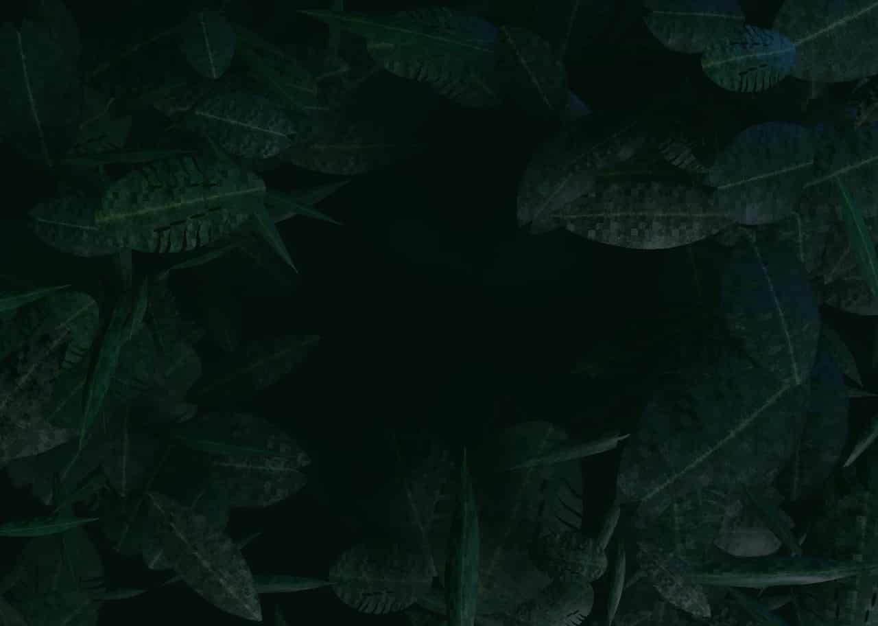 Jungle Canopy 003 visual preview