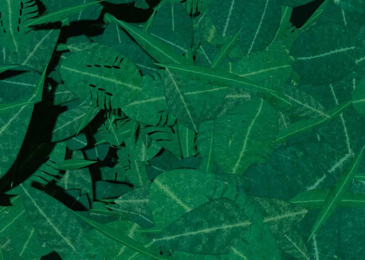 Jungle Canopy 002 visual preview
