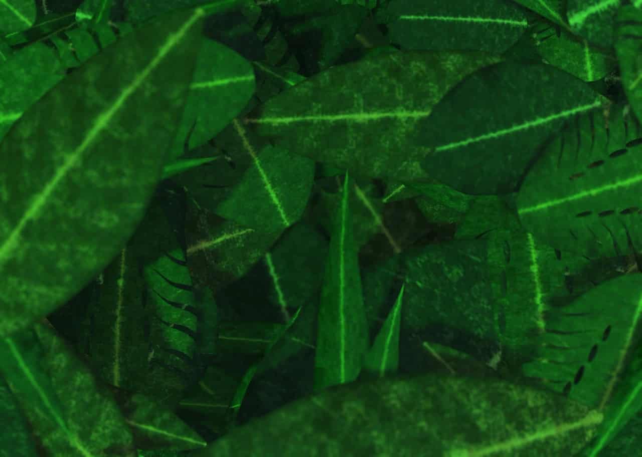 Jungle Canopy 008 visual preview