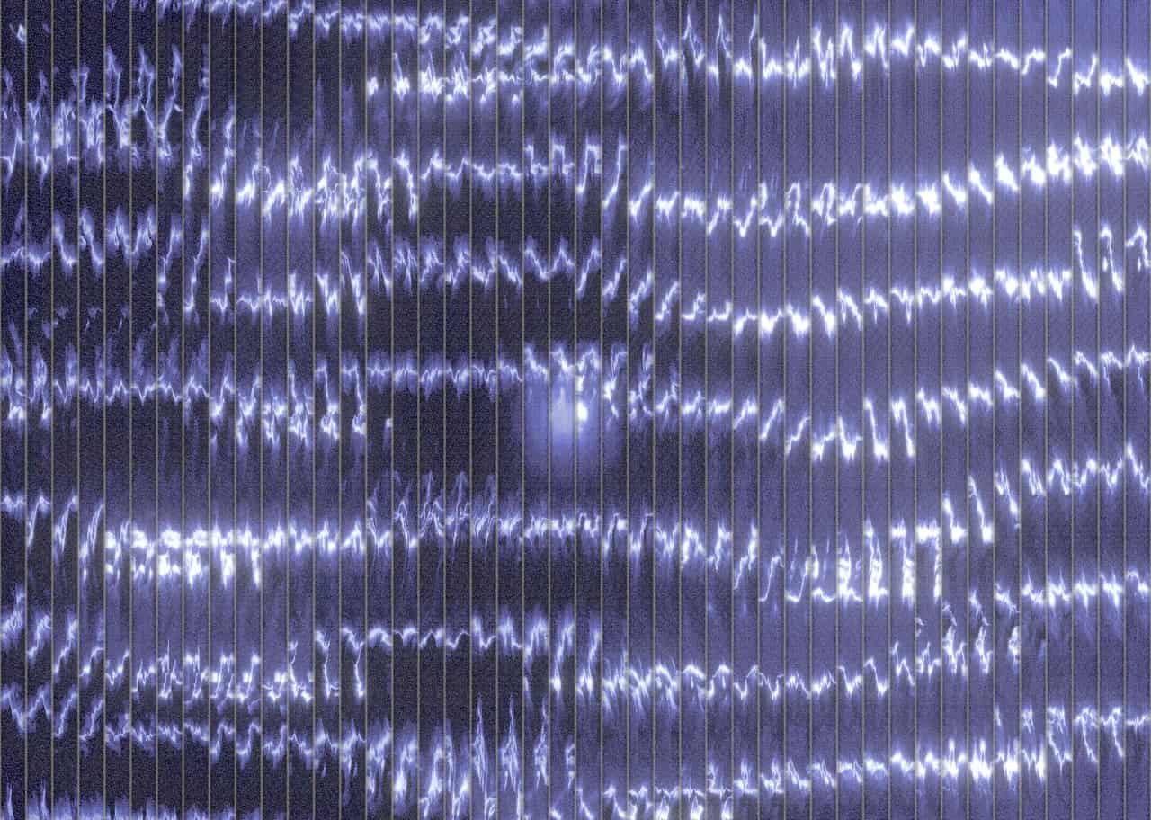 Fluted Veil visual preview