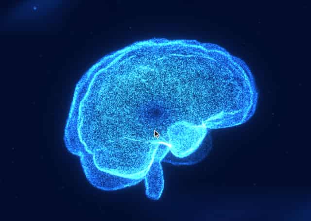 Brain visual preview